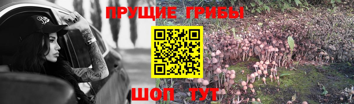 Псилоцибиновые грибы Magic Shrooms Алатырь